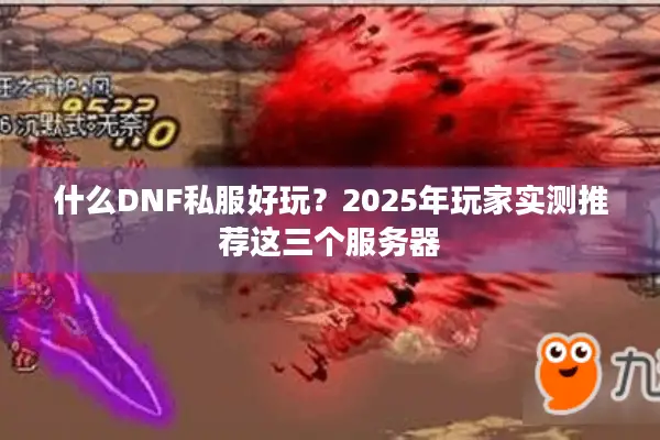 什么DNF私服好玩？2025年玩家实测推荐这三个服务器