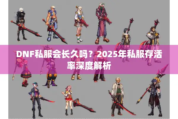 DNF私服会长久吗？2025年私服存活率深度解析