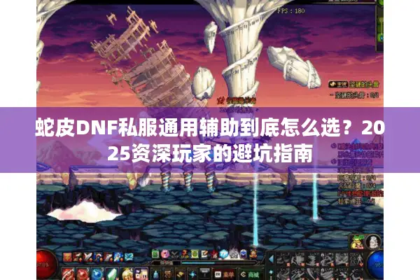 蛇皮DNF私服通用辅助到底怎么选？2025资深玩家的避坑指南