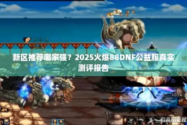 新区推荐哪家强？2025火爆88DNF公益服真实测评报告