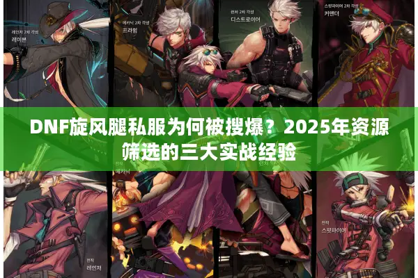 DNF旋风腿私服为何被搜爆？2025年资源筛选的三大实战经验