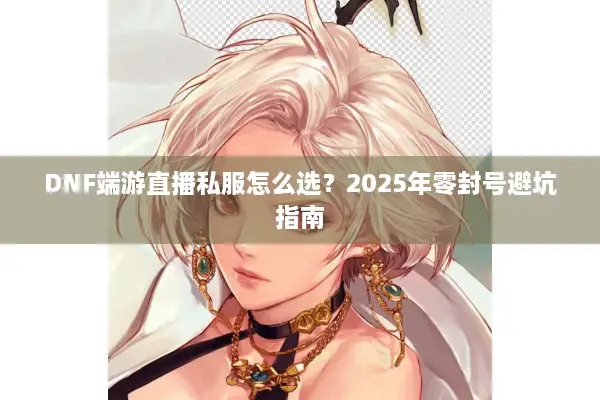 DNF端游直播私服怎么选？2025年零封号避坑指南