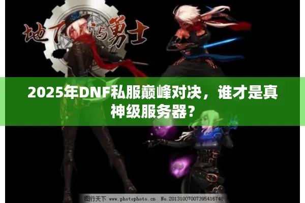 2025年DNF私服巅峰对决，谁才是真神级服务器？
