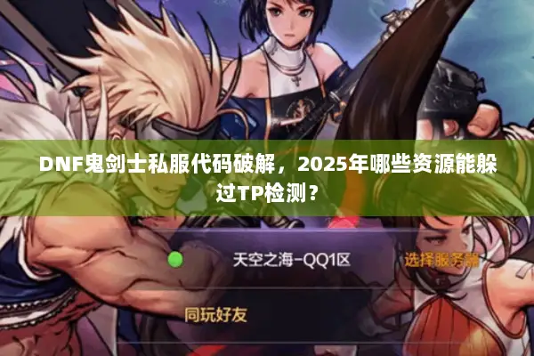 DNF鬼剑士私服代码破解，2025年哪些资源能躲过TP检测？