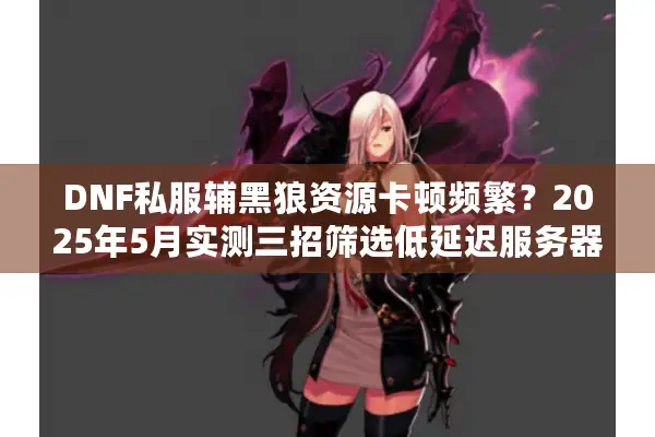 DNF私服辅黑狼资源卡顿频繁？2025年5月实测三招筛选低延迟服务器