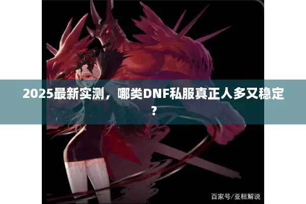 2025最新实测，哪类DNF私服真正人多又稳定？