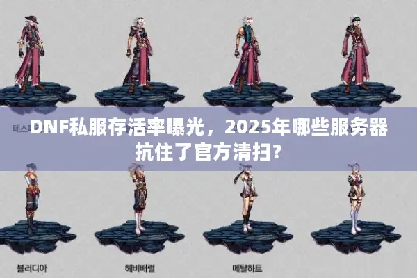 DNF私服存活率曝光，2025年哪些服务器抗住了官方清扫？