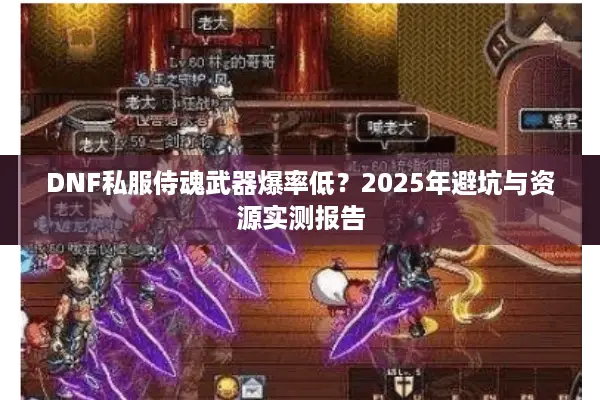 DNF私服侍魂武器爆率低？2025年避坑与资源实测报告