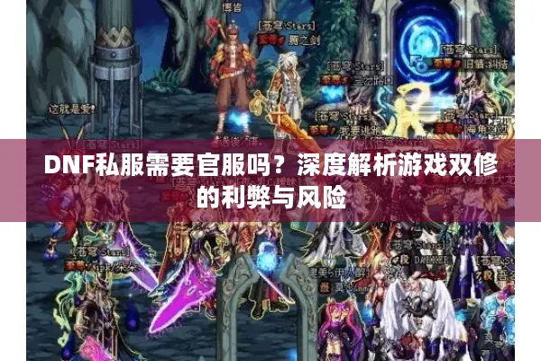 DNF私服需要官服吗？深度解析游戏双修的利弊与风险