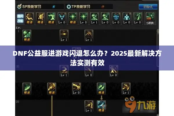 DNF公益服进游戏闪退怎么办？2025最新解决方法实测有效