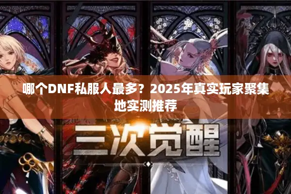 哪个DNF私服人最多？2025年真实玩家聚集地实测推荐