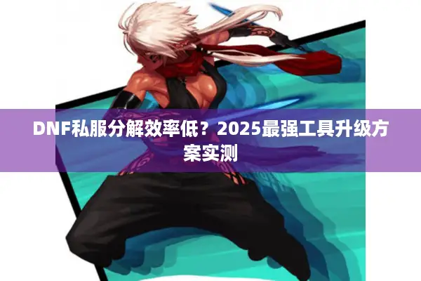 DNF私服分解效率低？2025最强工具升级方案实测