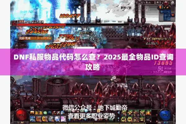 DNF私服物品代码怎么查？2025最全物品ID查询攻略