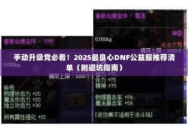 手动升级党必看！2025最良心DNF公益服推荐清单（附避坑指南）