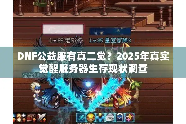 DNF公益服有真二觉？2025年真实觉醒服务器生存现状调查