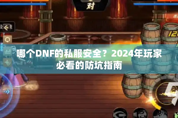 哪个DNF的私服安全？2024年玩家必看的防坑指南