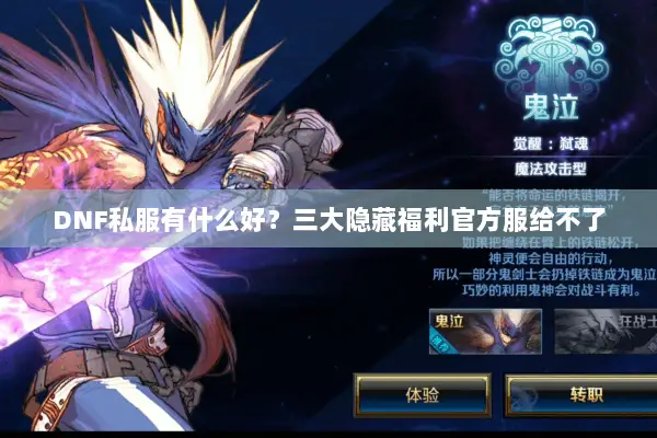 DNF私服有什么好？三大隐藏福利官方服给不了