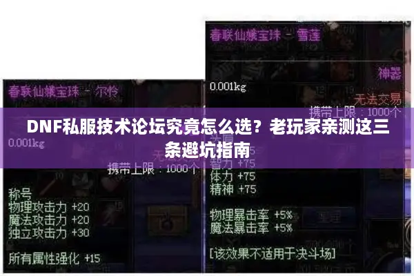 DNF私服技术论坛究竟怎么选？老玩家亲测这三条避坑指南