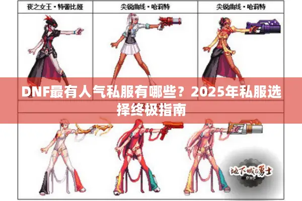 DNF最有人气私服有哪些？2025年私服选择终极指南