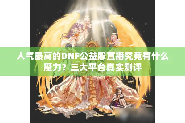 人气最高的DNF公益服直播究竟有什么魔力？三大平台真实测评