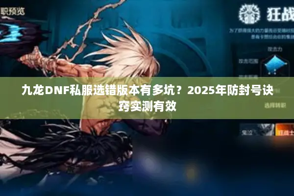 九龙DNF私服选错版本有多坑？2025年防封号诀窍实测有效
