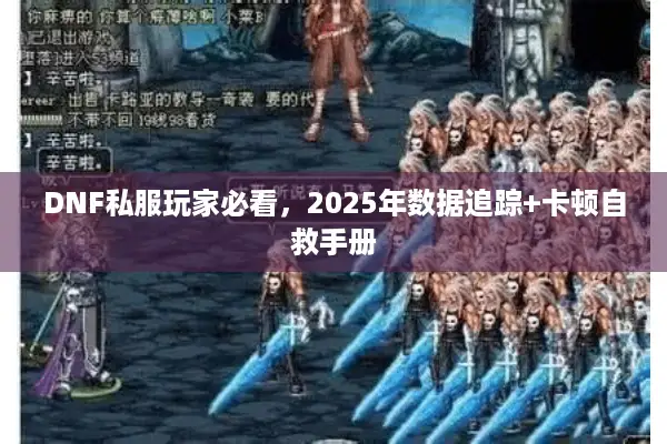 DNF私服玩家必看，2025年数据追踪+卡顿自救手册