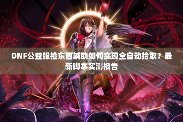 DNF公益服捡东西辅助如何实现全自动拾取？最新脚本实测报告