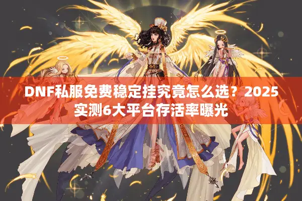 DNF私服免费稳定挂究竟怎么选？2025实测6大平台存活率曝光