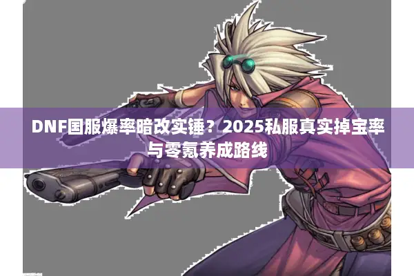 DNF国服爆率暗改实锤？2025私服真实掉宝率与零氪养成路线