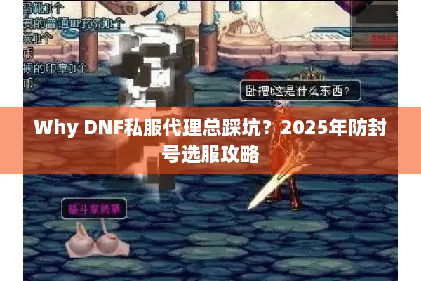 Why DNF私服代理总踩坑？2025年防封号选服攻略
