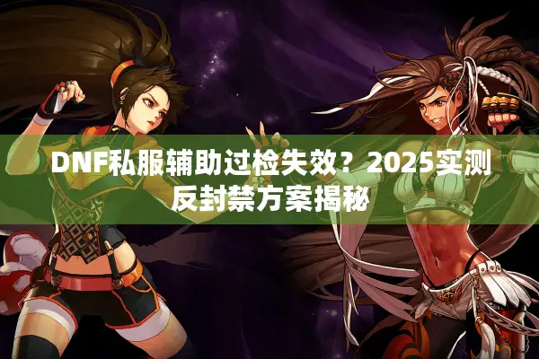 DNF私服辅助过检失效？2025实测反封禁方案揭秘