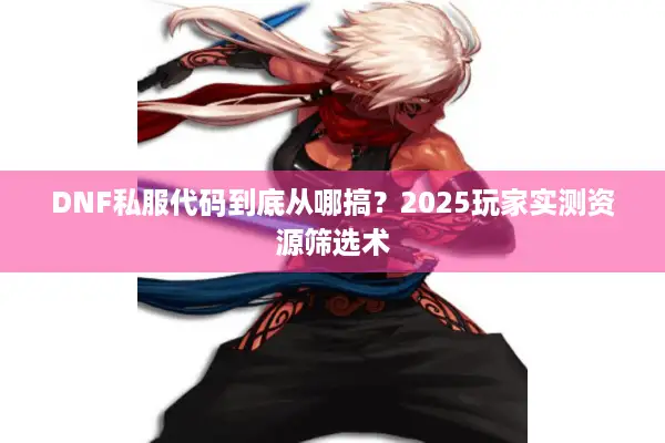 DNF私服代码到底从哪搞？2025玩家实测资源筛选术