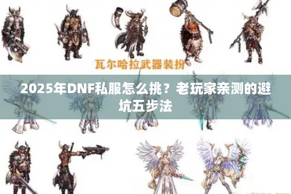 2025年DNF私服怎么挑？老玩家亲测的避坑五步法