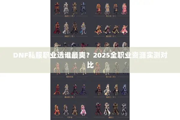 DNF私服职业选谁最爽？2025全职业资源实测对比