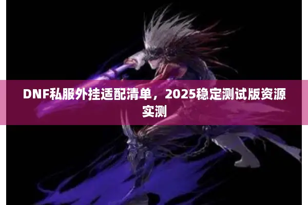 DNF私服外挂适配清单，2025稳定测试版资源实测