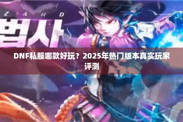 DNF私服哪款好玩？2025年热门版本真实玩家评测
