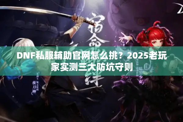 DNF私服辅助官网怎么挑？2025老玩家实测三大防坑守则