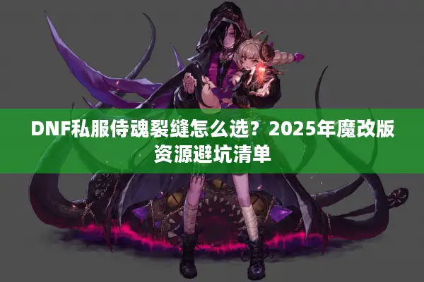 DNF私服侍魂裂缝怎么选？2025年魔改版资源避坑清单