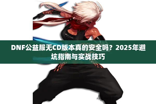 DNF公益服无CD版本真的安全吗？2025年避坑指南与实战技巧