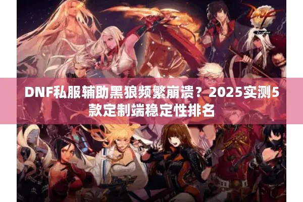 DNF私服辅助黑狼频繁崩溃？2025实测5款定制端稳定性排名