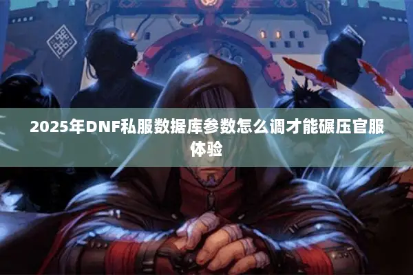 2025年DNF私服数据库参数怎么调才能碾压官服体验