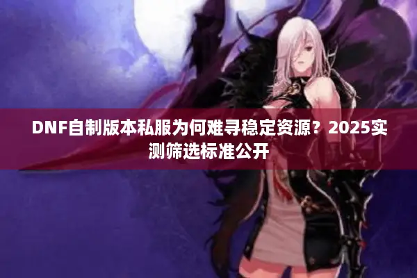 DNF自制版本私服为何难寻稳定资源？2025实测筛选标准公开