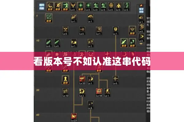 看版本号不如认准这串代码