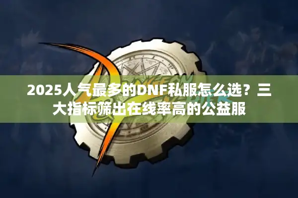 2025人气最多的DNF私服怎么选？三大指标筛出在线率高的公益服