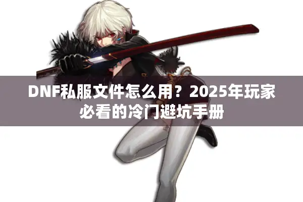 DNF私服文件怎么用？2025年玩家必看的冷门避坑手册