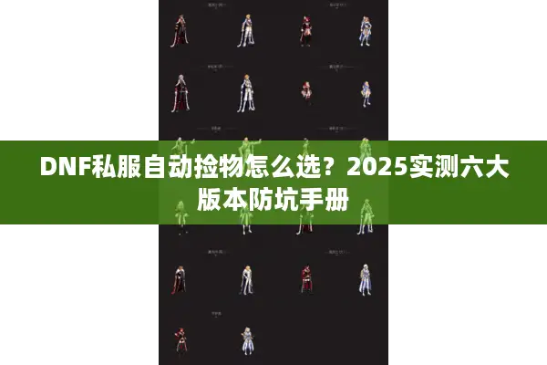 DNF私服自动捡物怎么选？2025实测六大版本防坑手册