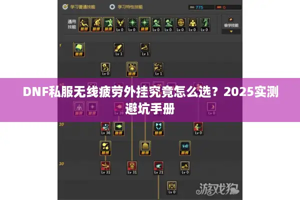DNF私服无线疲劳外挂究竟怎么选？2025实测避坑手册