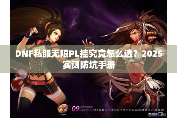 DNF私服无限PL挂究竟怎么选？2025实测防坑手册