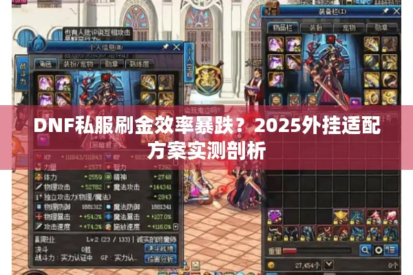 DNF私服刷金效率暴跌？2025外挂适配方案实测剖析