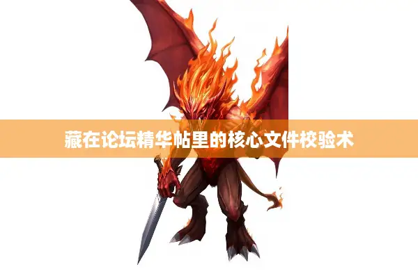 藏在论坛精华帖里的核心文件校验术